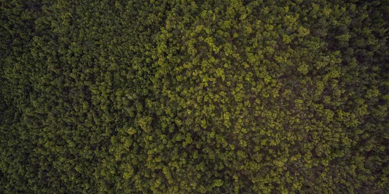 中山健身房器械与空间清洁消毒指南：专业清洁设备与家政服务如何成为预防交叉感染的关键