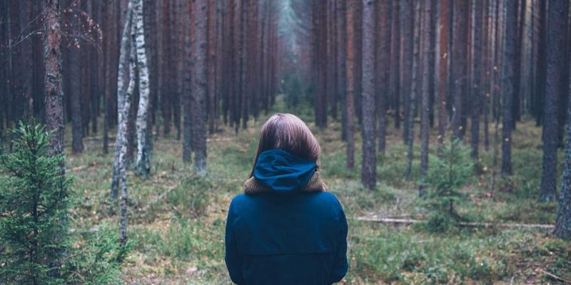 中山公共交通车辆内饰深度清洁与消毒全指南：专业家政服务与高效清洁设备解决方案