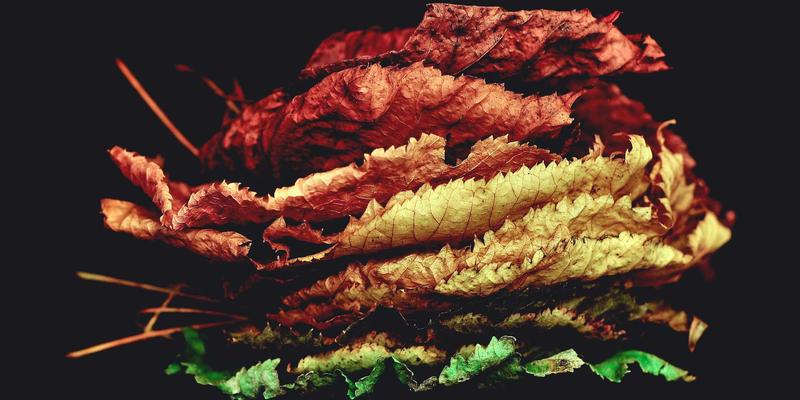 中山大型商场保洁管理方案解析：融合专业家政服务、复古清洁工艺与现代清洁设备的全方位策略