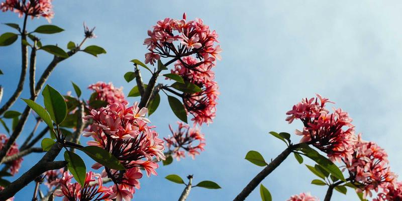 中山大型商超开业前全方位深度清洁与卫生验收标准解析 | 复古清洁专业指南