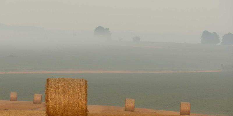 中山清洁30年：从家政服务到专业解决方案的全面升级