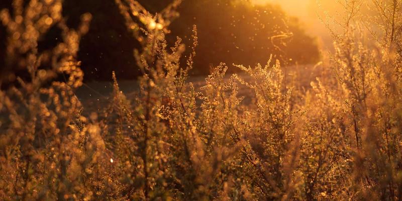 中山清洁全攻略:融合复古智慧与现代家政服务的深度清洁教程