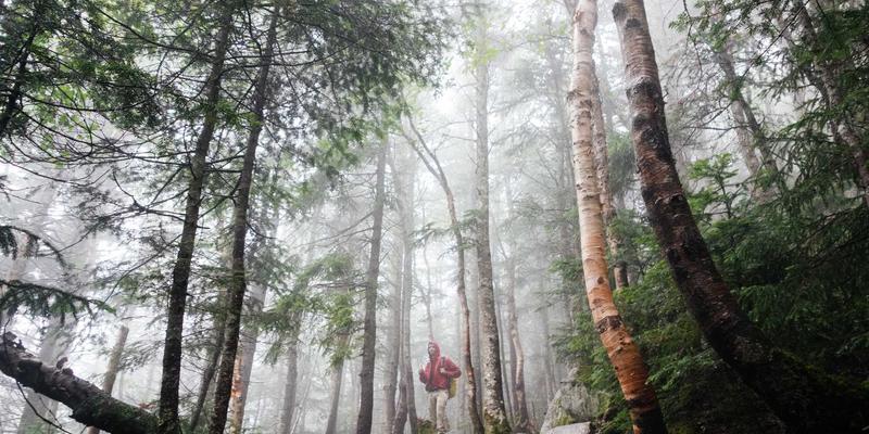 中山清洁发展新趋势:专业清洁用品与家政服务如何塑造现代生活