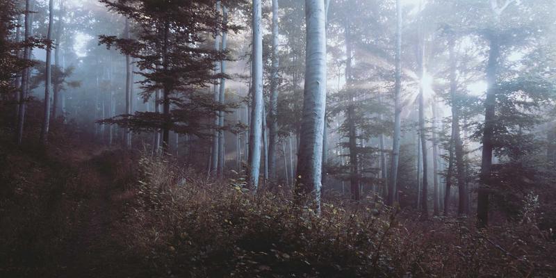 中山酒店布草清洗与消毒：专业洗涤流程如何保障卫生安全